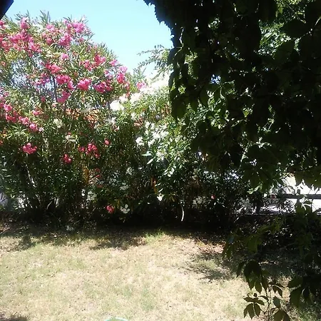 Monolocale アパート サン・テオドーロ